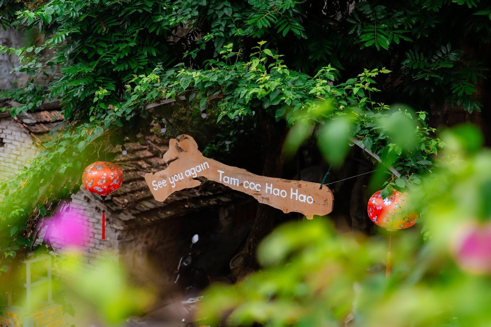 Tam Coc Hao Hao Homestay Vu Lam Kültér fotó